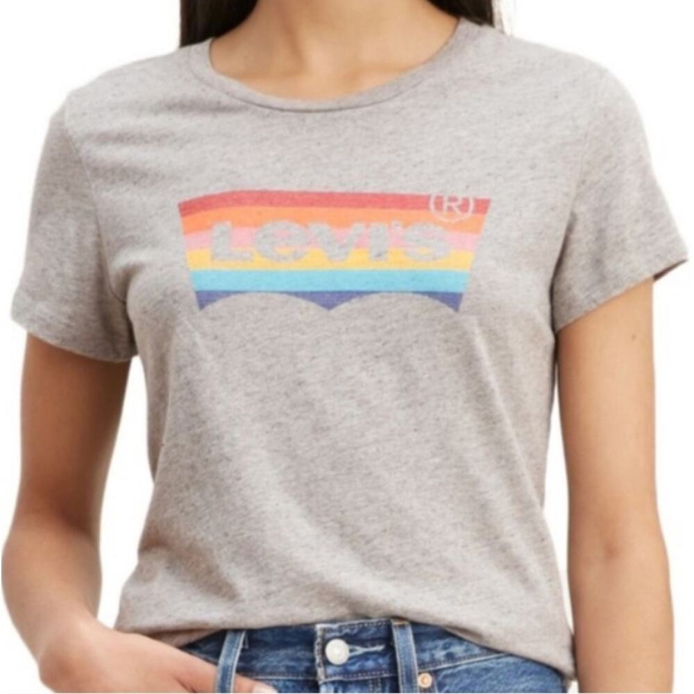 Levi's House Mark Gray Spacedye Rainbow Logo Tee Medium